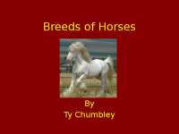 Breeds of Horses - Lecture Slides | AG 2215