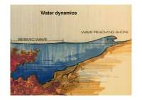 Biologia delle Alghe - Water Dynamics - Parte 6