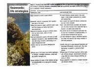 Seagrassi: Caratteristiche, Distribuzione e Importanza per l'Ecosistema Marino