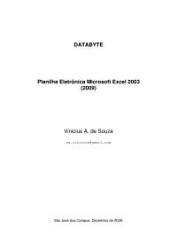 Microsoft Excel 2003