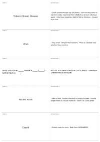 Virus and Tobacco Mosaic Disease: Definition, Structure, Reproduction, and Interactions