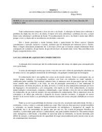 As cegueiras do Conhecimento - O erro e a Ilusão