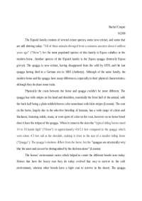 Assignment for Introductory Horse Management | ANS 219