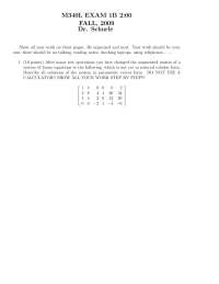 Practice Exam 1B on Matrices and Matrix Calculations | M 340L - Docsity