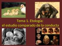 Etología: el estudio comparado de la conducta
