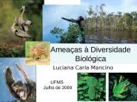 Ameaças a diversidade biológica