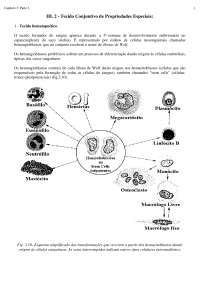 Tecido conjuntivo de propriedades especiais: citologia do tecido epitelial