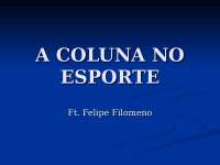 Aulas de fisioterapia