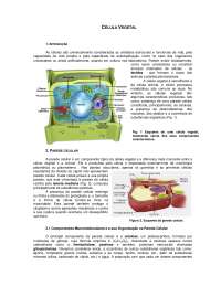Texto Citologia Vegetal