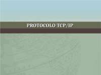 Protocolo TCP/IP: Introdução e Arquitetura
