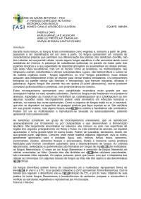 Relatorio micro fungos