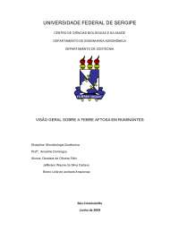 Trabalho - visão geral sobre a febre aftosa