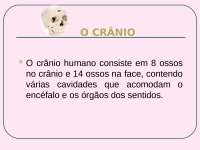 Ossos do Crânio