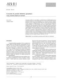 leucemia de grandes linfocitos granulares