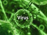 Aula de virus