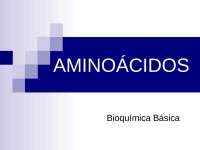 Aminoácidos