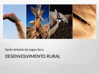 Desenvolvimento Rural em Santo Antonio da Lagoa Seca: História, Economia e Soluções