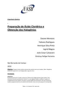 Relatorio Acido CLoridrico e Halogenios