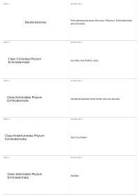 Deuterostomes and Chordates: An Overview of Phylums Echinodermata and Chordata