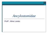 Ancylostomidae