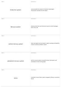 nervous system | BIO 201 - Human Anatomy/Physiology I