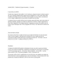 Satélite EROS