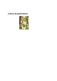 Cultura da jaboticabeira