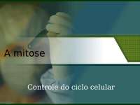 Notas da aula de Biologia: A mitose