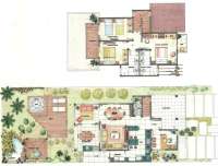 Planta