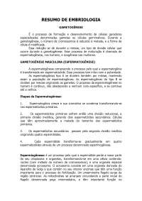 Resumo - de - Embriologia