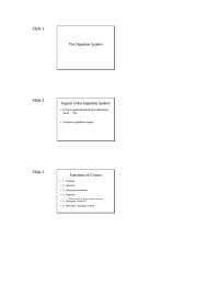 Digestive System - Anatomy and Physiology - Lecture Slides | - Docsity