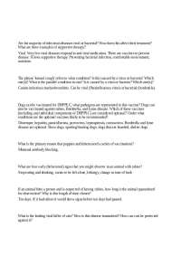 Study Group Questions - Companion Animal Biology and Care | ANSC 207