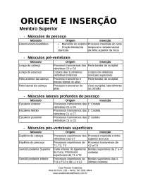 Origem e insercao