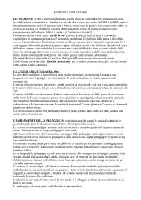 Le pedagogie del novecento