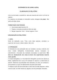 Elaboração do relatório