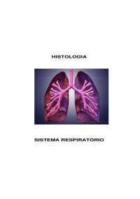 SISTEMA RESPIRATORIO - Histologia
