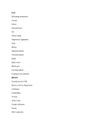 Comprehensive Guide: Anatomy of Human Eye, Brain, Organs, and Reproductive System - Prof. 