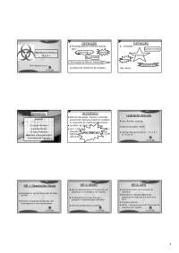 AULA 1 BIOSSEGURANCA C11 pdf