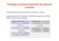Tecniche di sequenziamento dei genomi completi -  1 e next generation