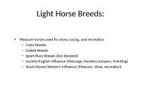 Light Horse Breeds/Colored - Equine Management | ANSC 1030