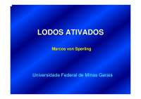 Lodos - Ativados - Von - Sperling