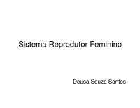 Sistema reprodutor feminino