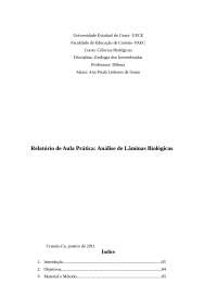 Relatório de aula prática