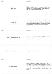 Equine Bridling Terms and Definitions