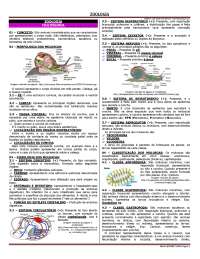 Aula 08 - moluscos e anelídeos
