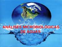 Coleta das amostras de água