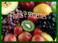 Frutos e Semenetes