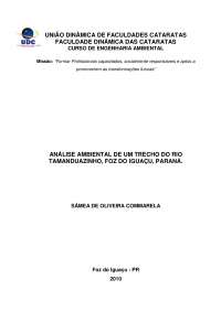 Análise ambiental de um trecho do rio Tamanduazinho, Foz do Iguaçu e Paraná