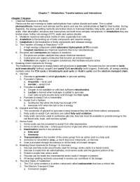 Notes on Metabolism: Transformations and Interactions - Nutrition | NUFS 2110