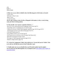 Neurolinguistics Exam 1 Study Guide - Prof. Gabriella F. Ruiz